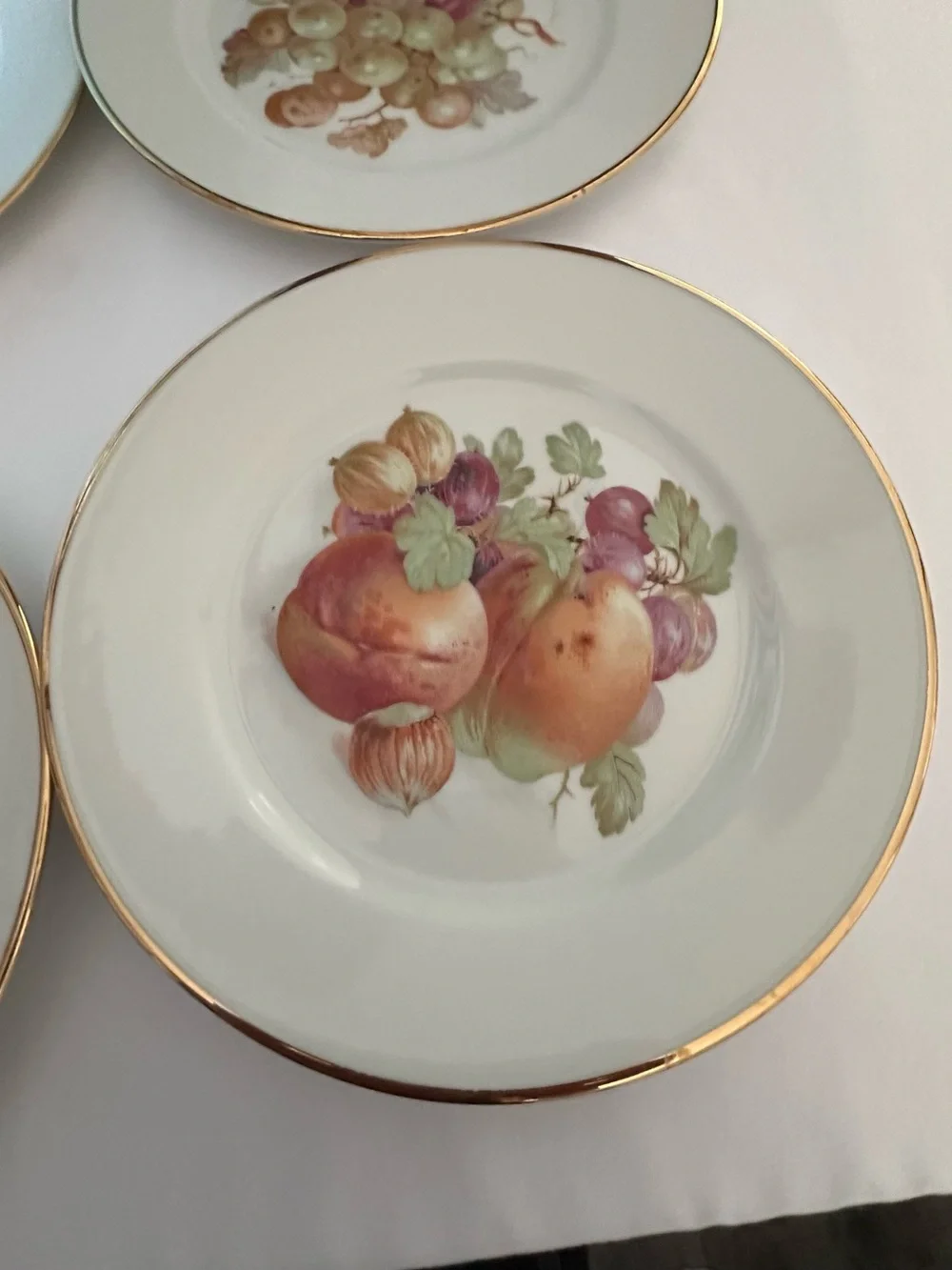 Porcelain Fruit Dessert Plates with Gold Rim - White (Set) 6